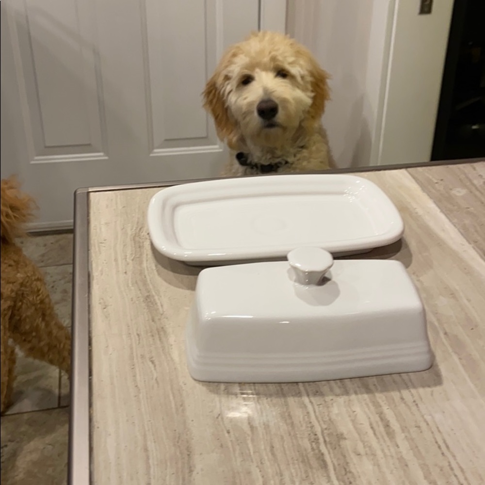 For someone :) Laurie 🥰🥰